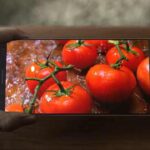 Apple ar putea produce iPhone în India